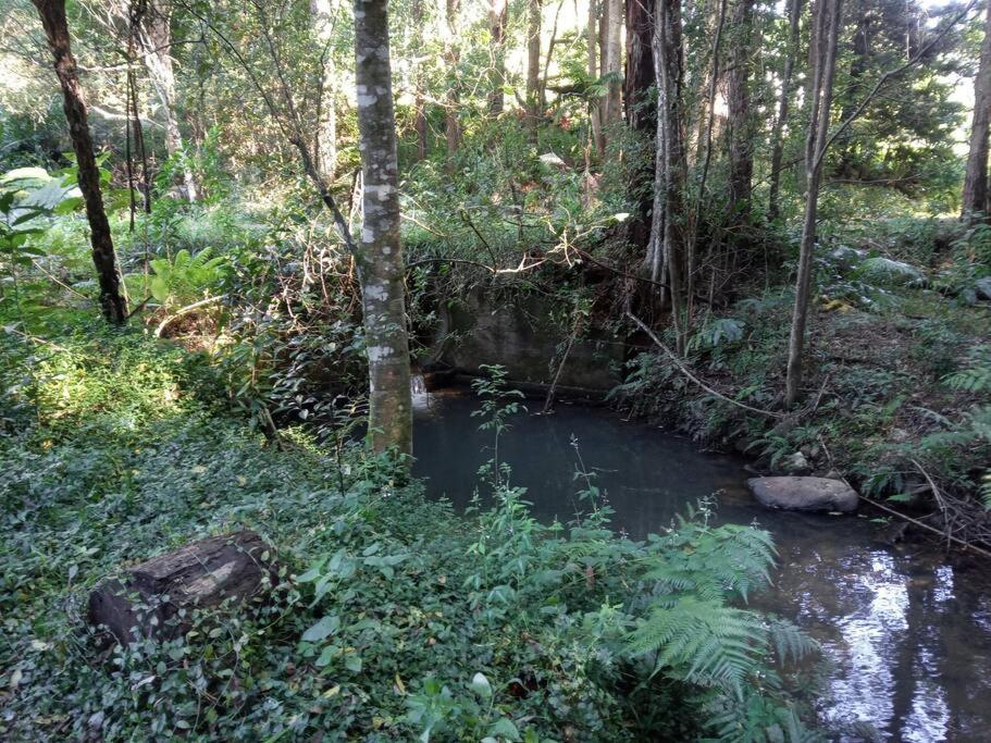 Sweetwater Cottage. A Private Mountain Escape Upper Burringbar المظهر الخارجي الصورة